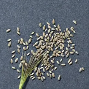 bffa8ee0 abda 4541 bf4a bca2e786ff59