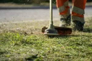 Grass lawn being trimmed and edged