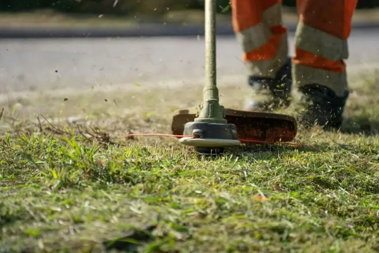 Grass lawn being trimmed and edged